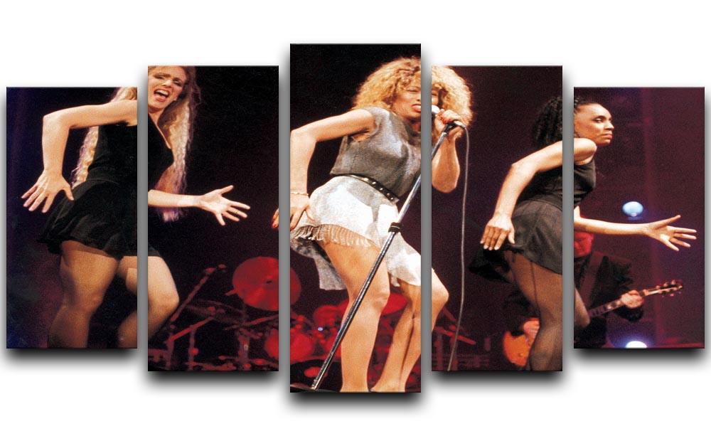 Tina Turner on stage 5 Split Panel Canvas  - Canvas Art Rocks - 1