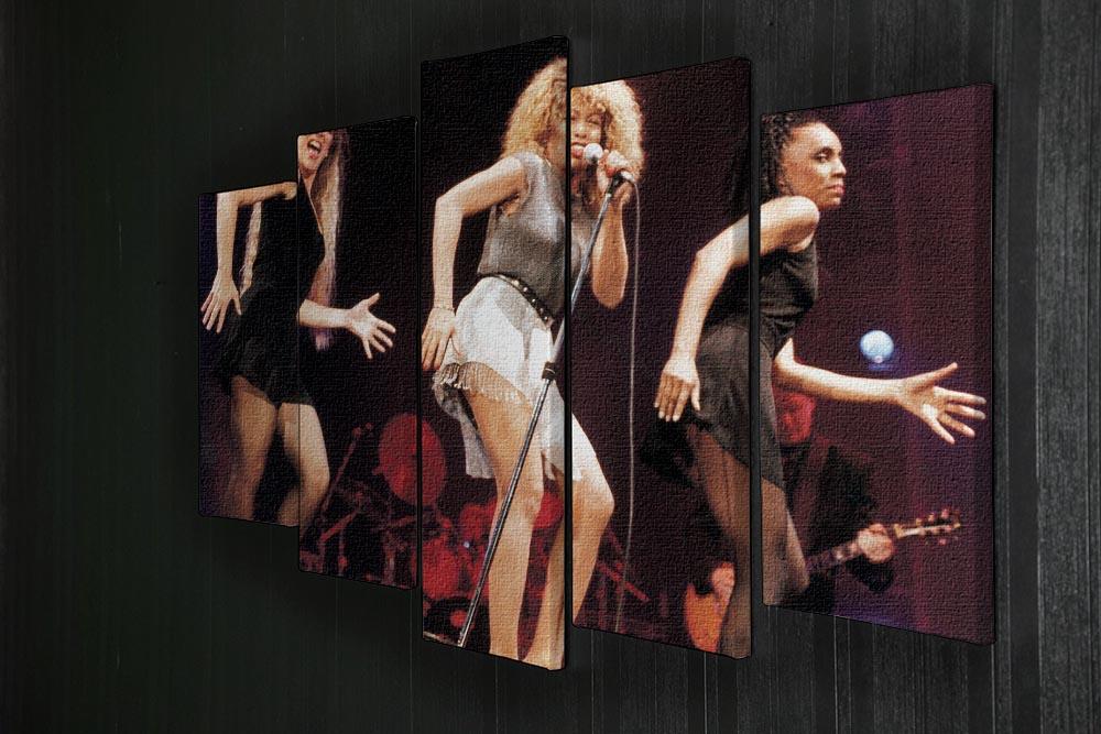 Tina Turner on stage 5 Split Panel Canvas - Canvas Art Rocks - 2