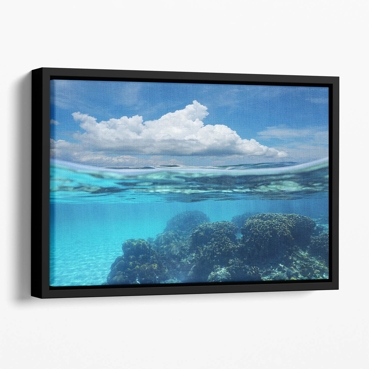 Top half with blue sky and cloud Floating Framed Canvas