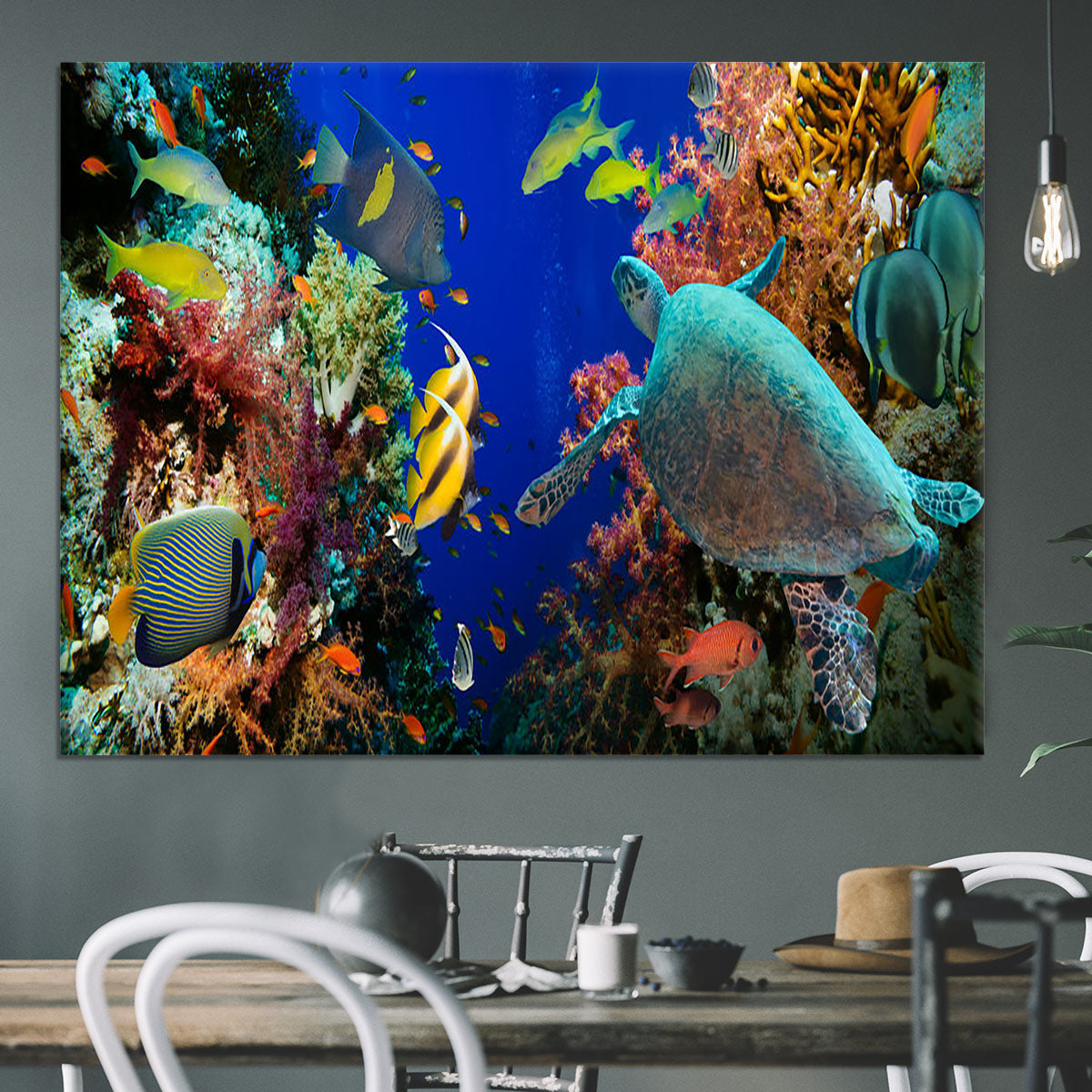 Tropical Anthias fish with net fire corals and shark on Red Sea reef Canvas Print or Poster - Canvas Art Rocks - 3