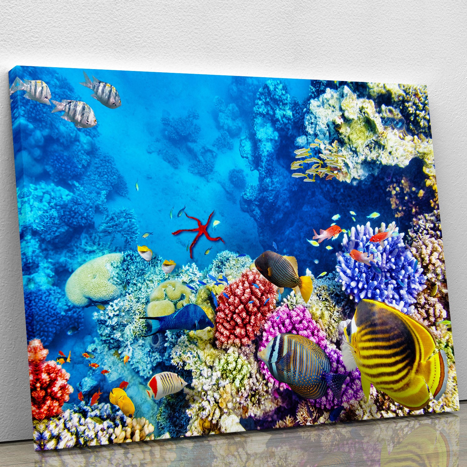 Tropical fish Canvas Print or Poster - Canvas Art Rocks - 1