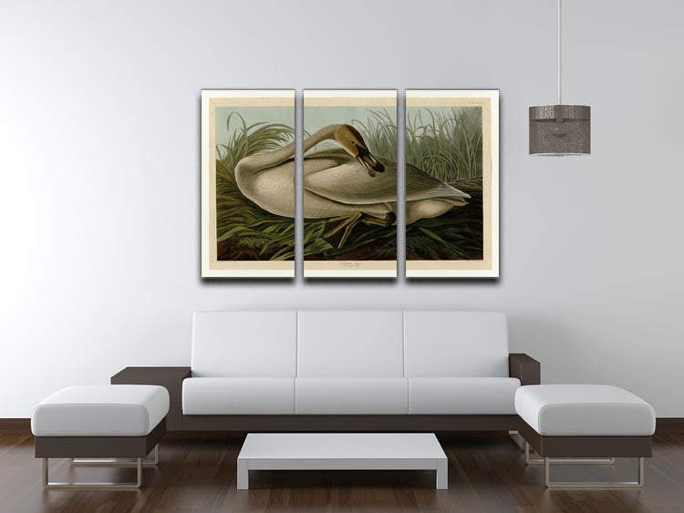 Trumpeter_Swan by Audubon 3 Split Panel Canvas Print - Canvas Art Rocks - 3