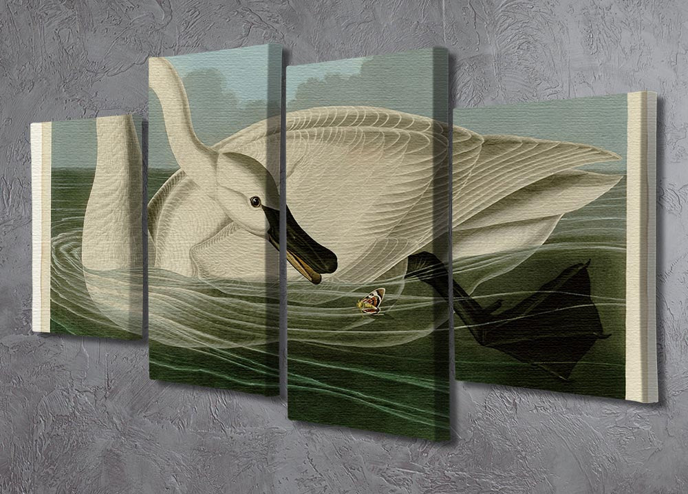 Trumpeter Swan by Audubon 4 Split Panel Canvas - Canvas Art Rocks - 2