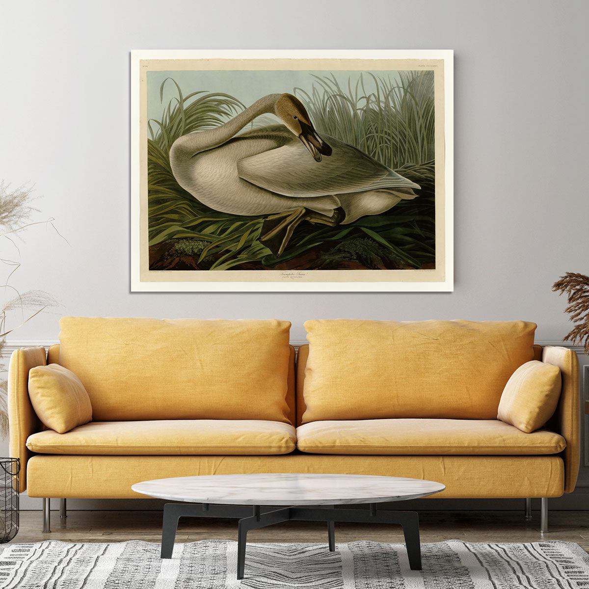 Trumpeter_Swan by Audubon Canvas Print or Poster - Canvas Art Rocks - 4