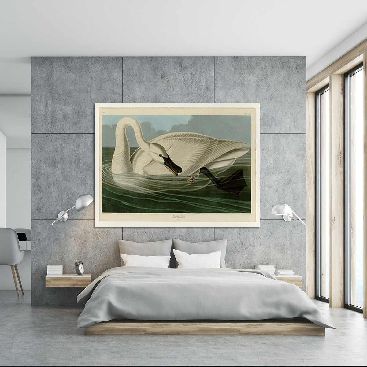 Trumpeter Swan by Audubon Canvas Print or Poster - Canvas Art Rocks - 5