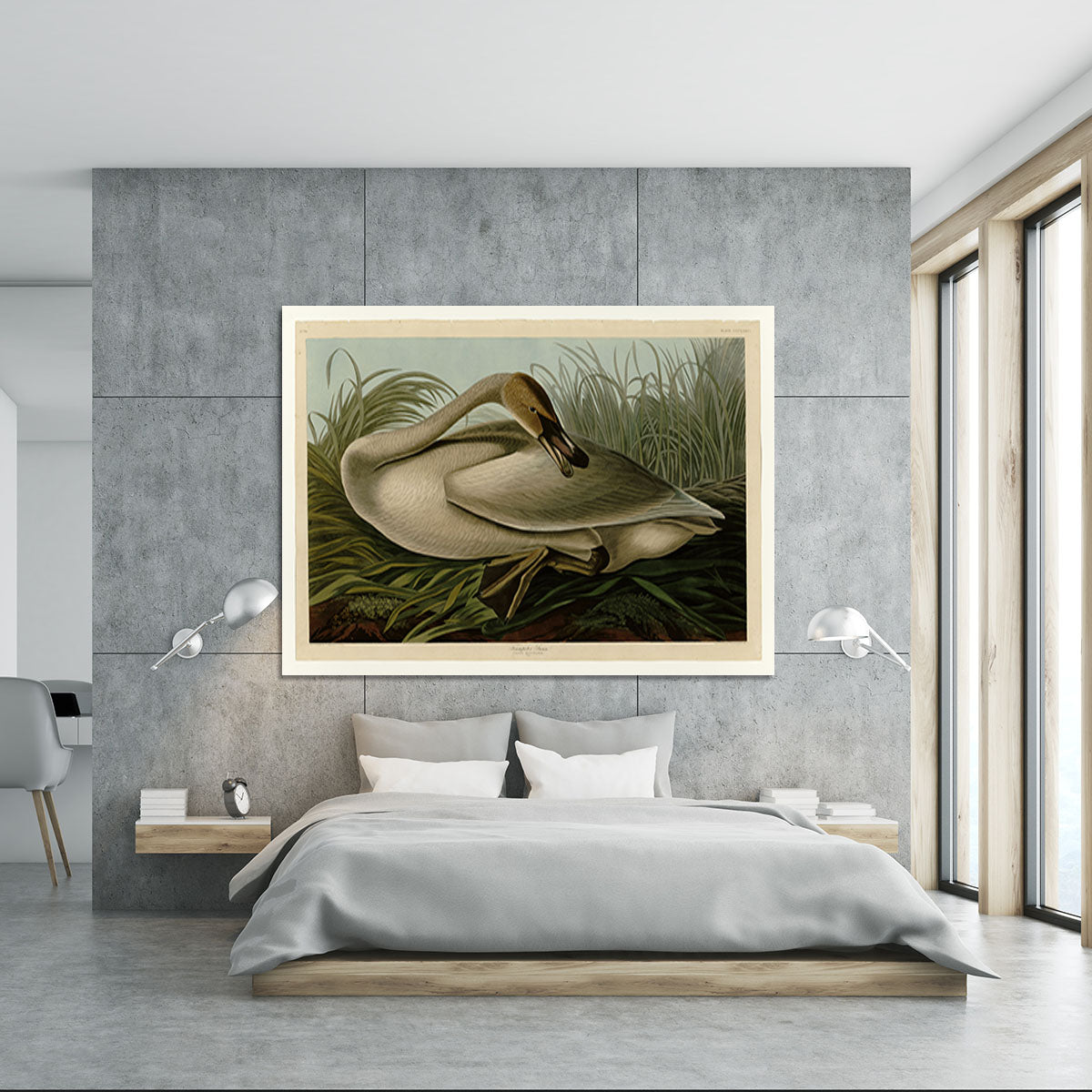 Trumpeter_Swan by Audubon Canvas Print or Poster - Canvas Art Rocks - 5
