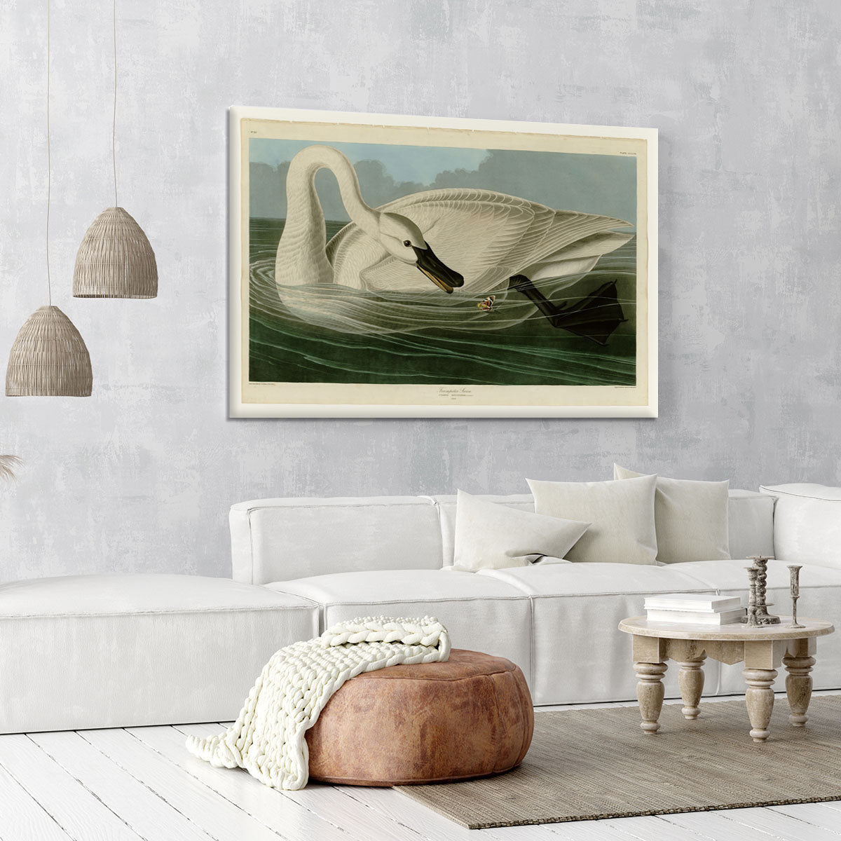 Trumpeter Swan by Audubon Canvas Print or Poster - Canvas Art Rocks - 6
