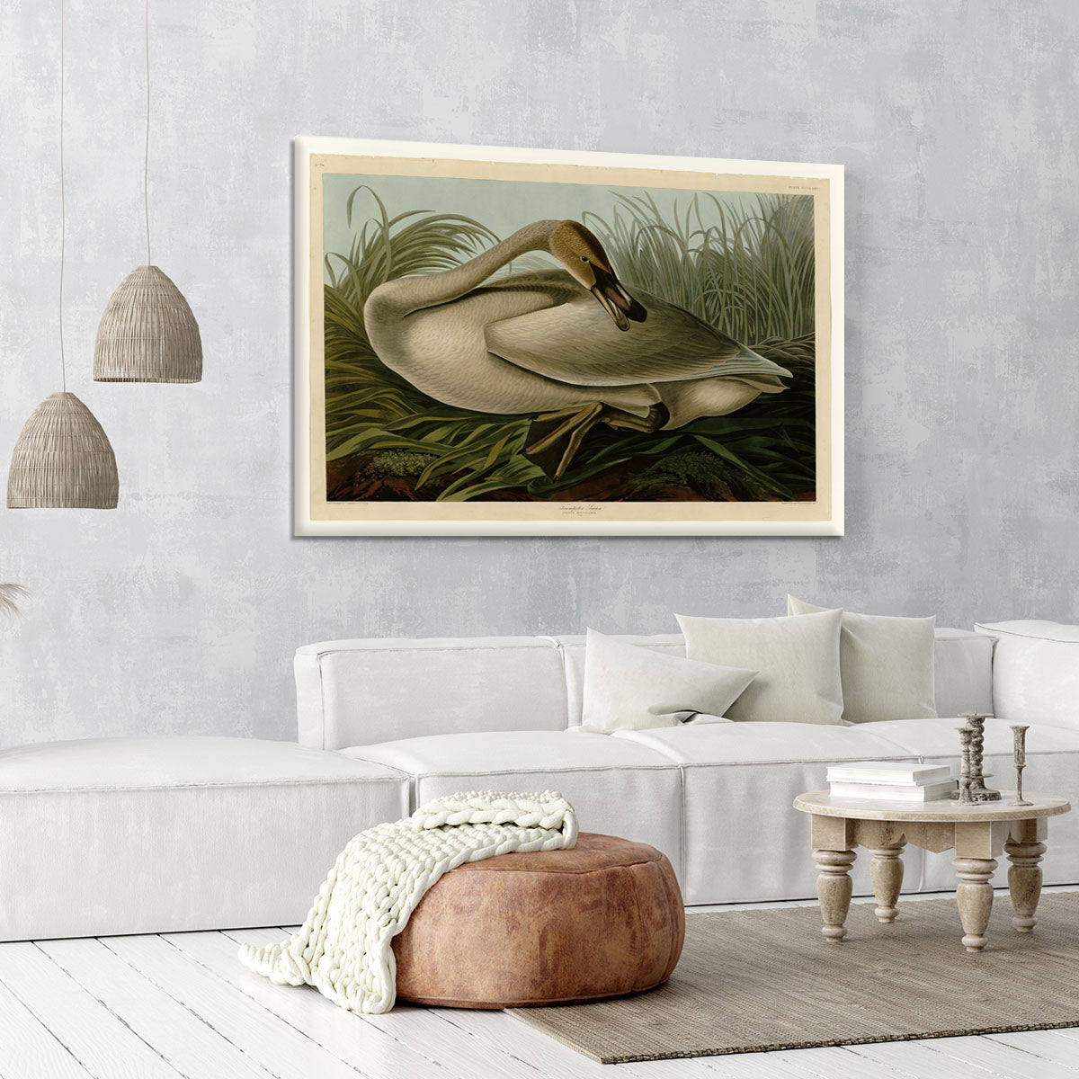 Trumpeter_Swan by Audubon Canvas Print or Poster - Canvas Art Rocks - 6