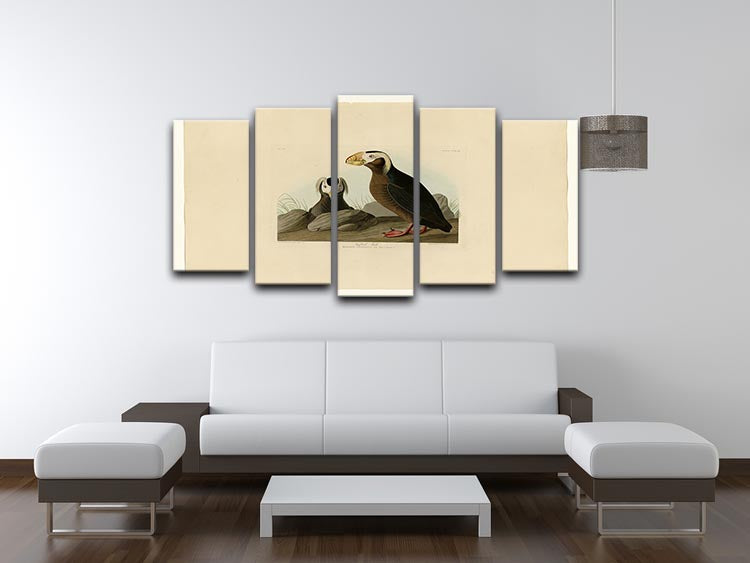 Tufted Auk by Audubon 5 Split Panel Canvas - Canvas Art Rocks - 3