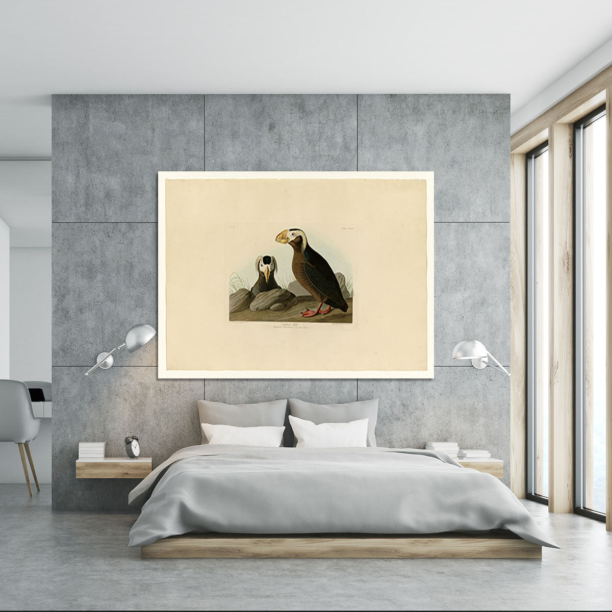 Tufted Auk by Audubon Canvas Print or Poster - Canvas Art Rocks - 5