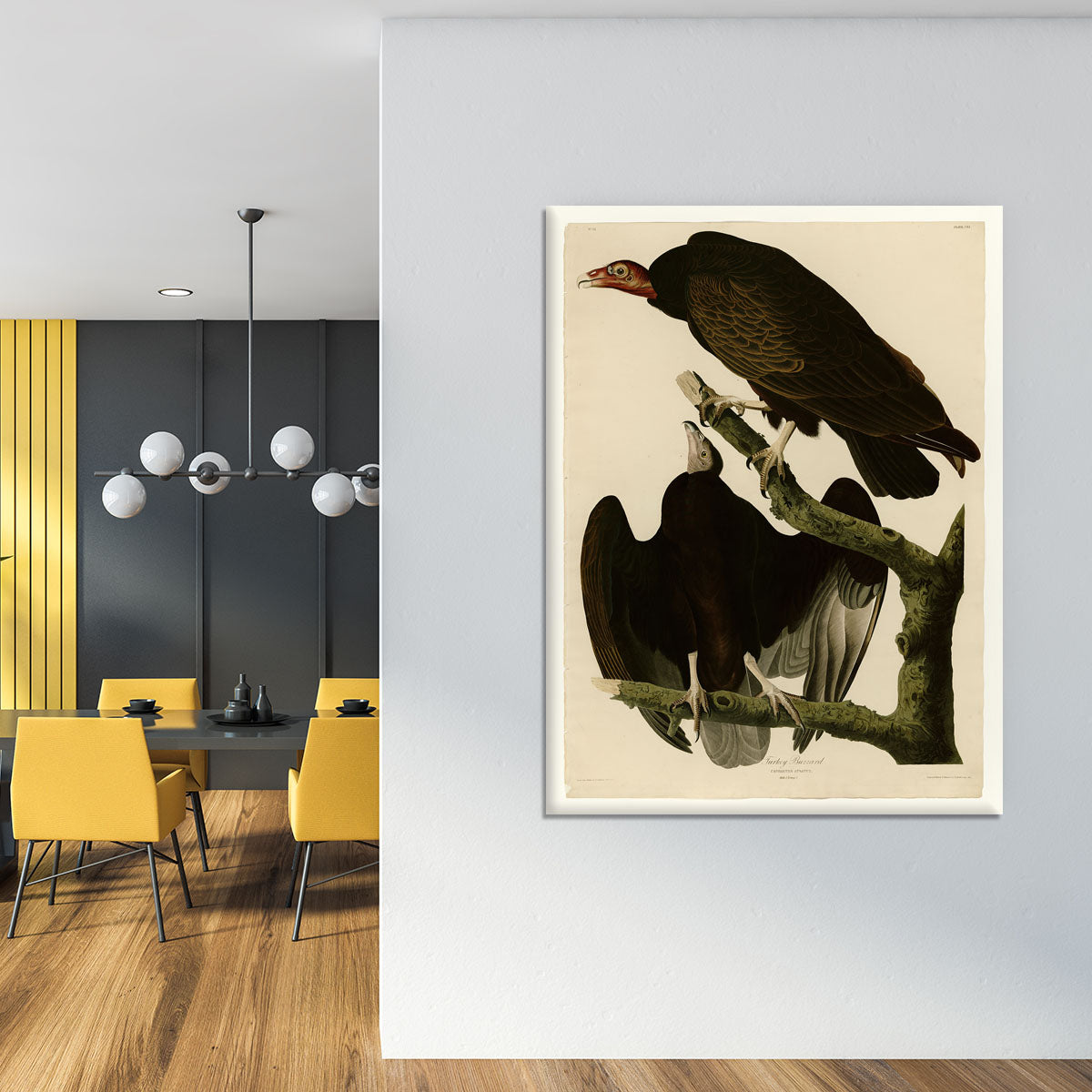 Turkey Buzzard by Audubon Canvas Print or Poster - Canvas Art Rocks - 4