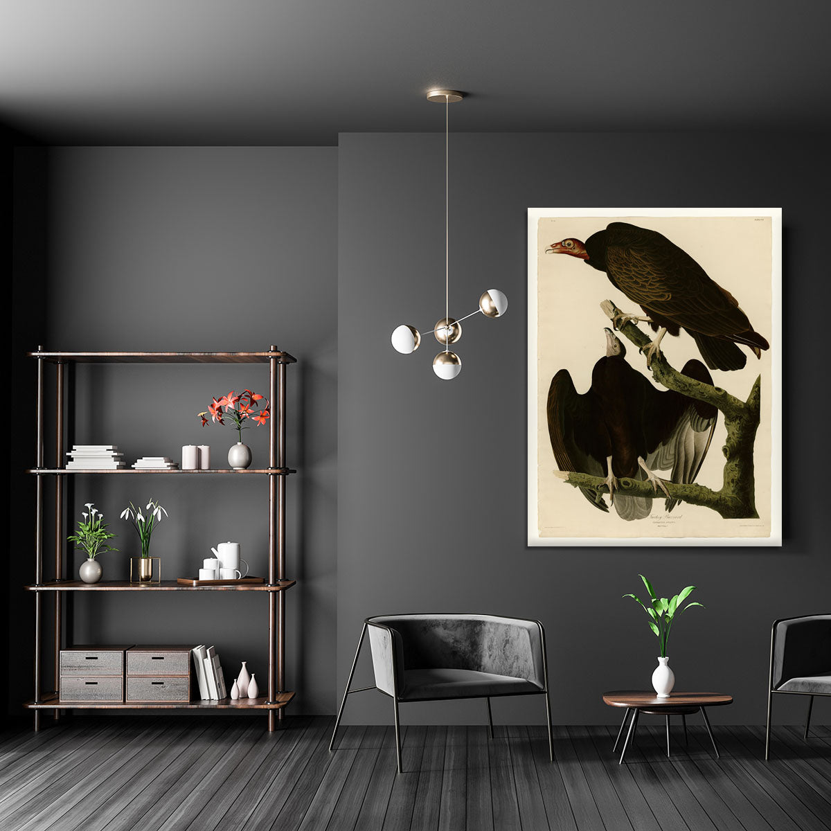 Turkey Buzzard by Audubon Canvas Print or Poster - Canvas Art Rocks - 5