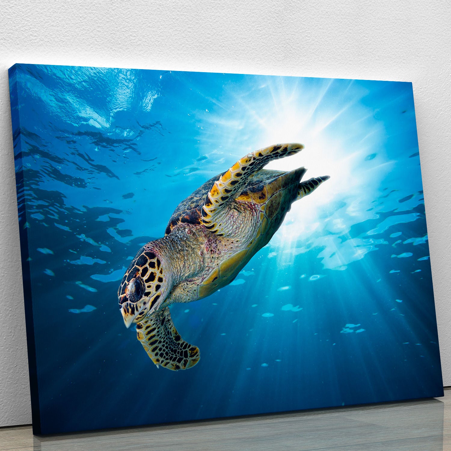 Turtle dive Canvas Print or Poster - Canvas Art Rocks - 1