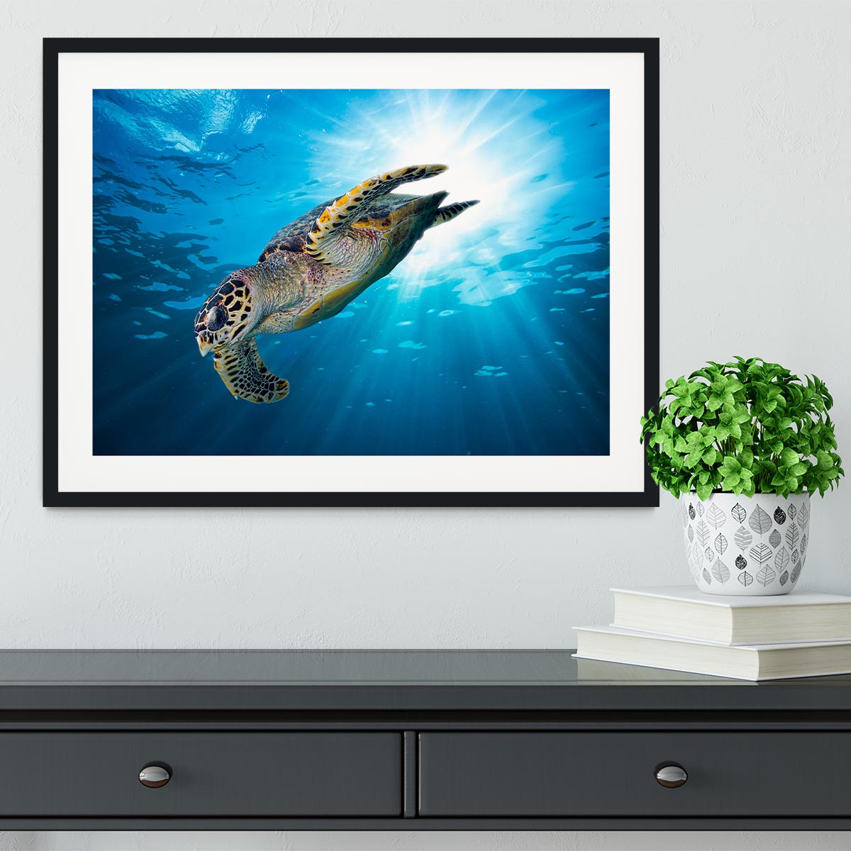 Turtle dive Framed Print - Canvas Art Rocks - 1