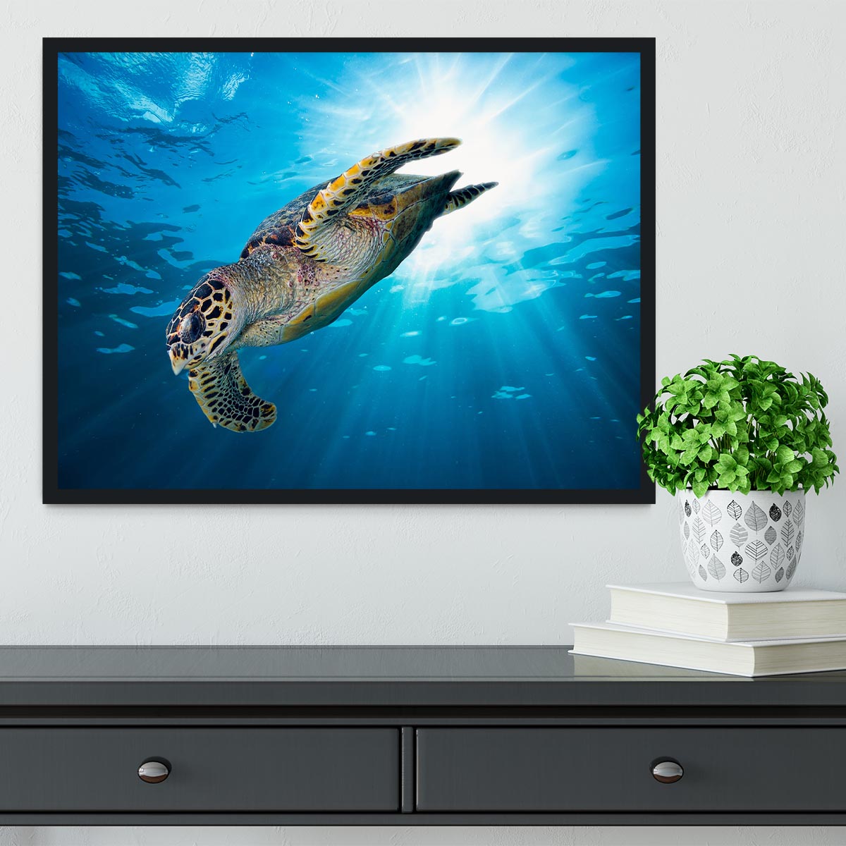Turtle dive Framed Print - Canvas Art Rocks - 2