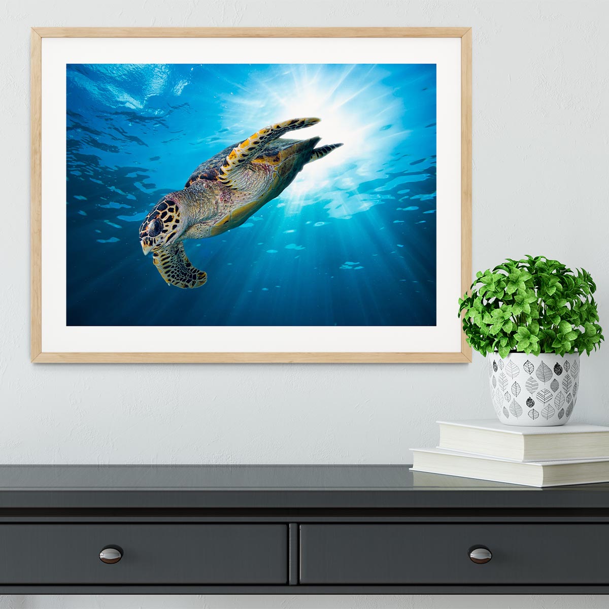 Turtle dive Framed Print - Canvas Art Rocks - 3