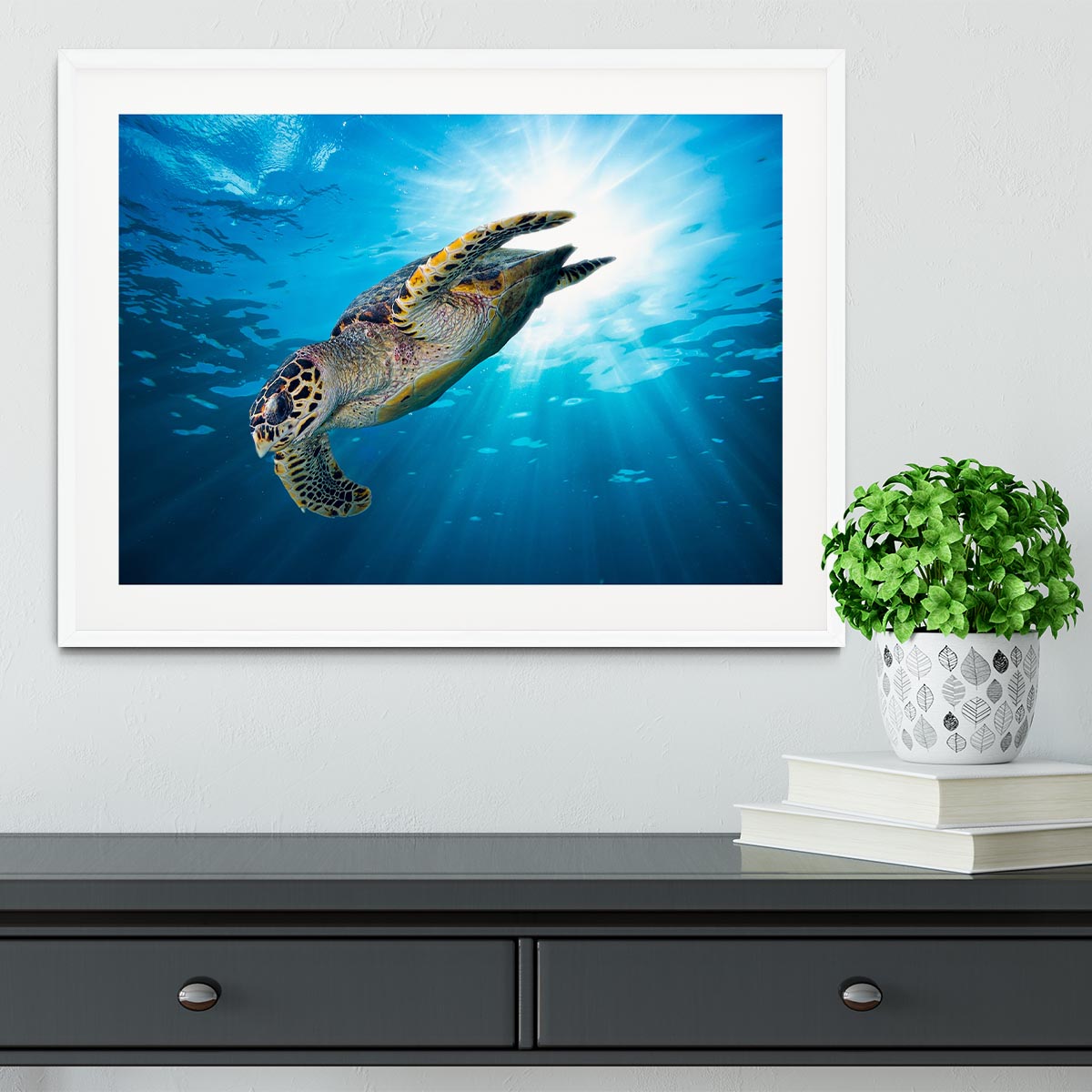 Turtle dive Framed Print - Canvas Art Rocks - 5
