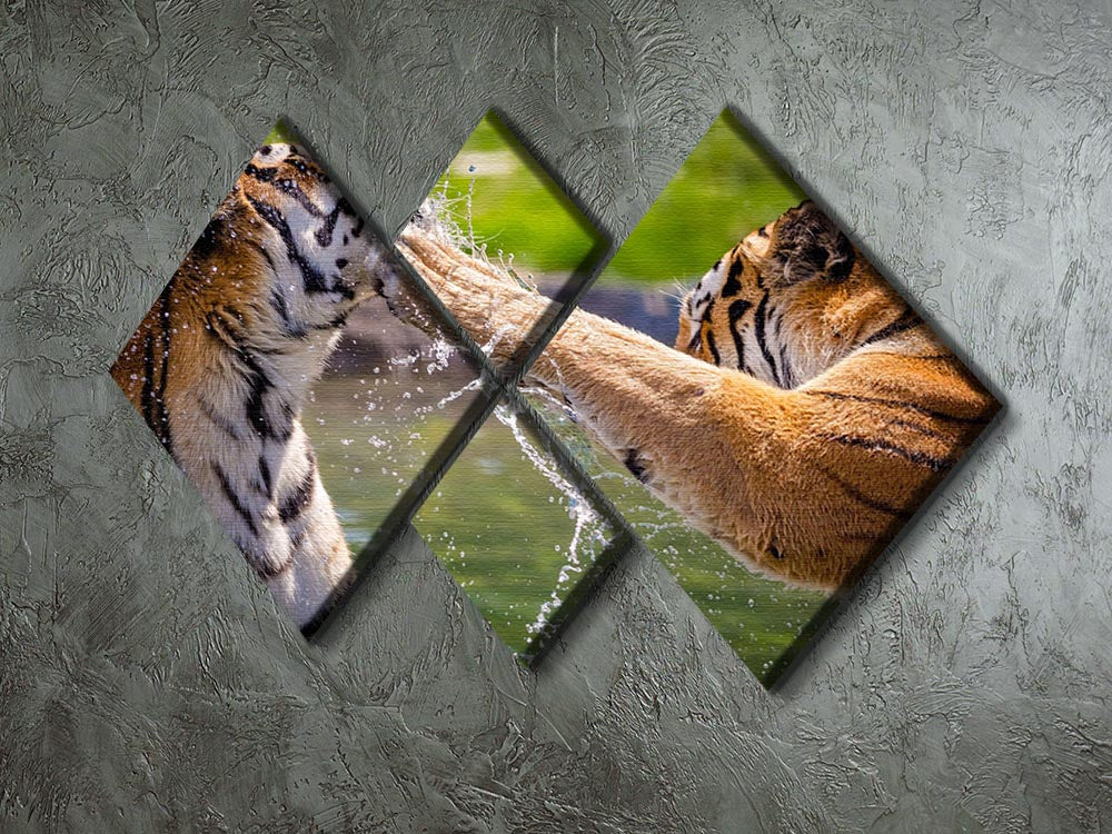 Two adult tigers at play in the water 4 Square Multi Panel Canvas - Canvas Art Rocks - 2