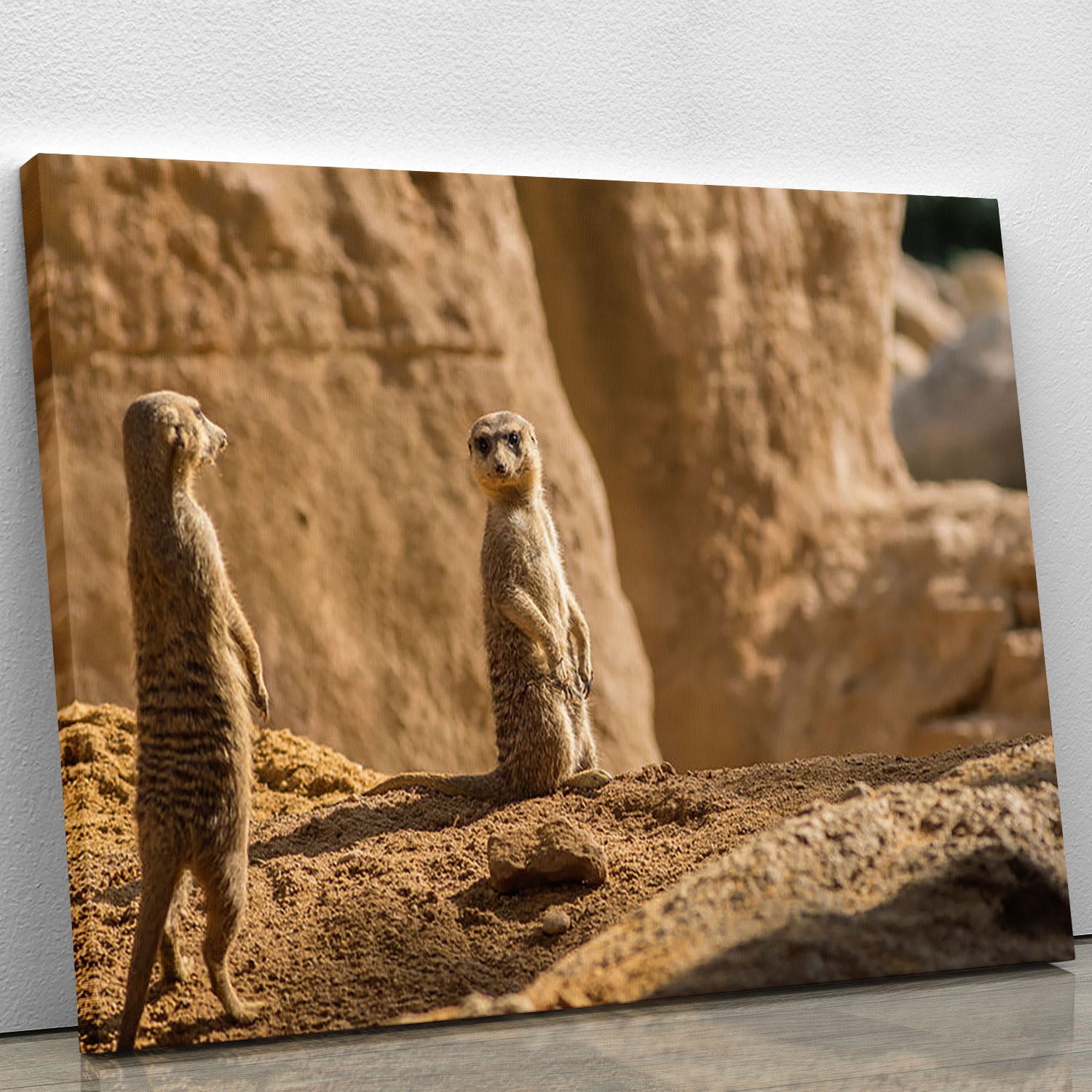 Two alert Meerkats in the desert Canvas Print or Poster - Canvas Art Rocks - 1