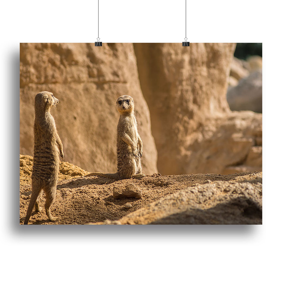 Two alert Meerkats in the desert Canvas Print or Poster - Canvas Art Rocks - 2
