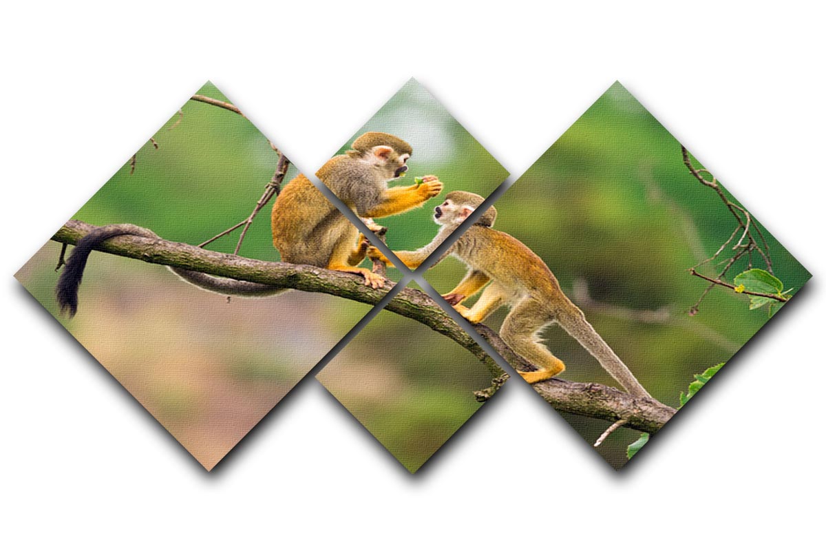 Two common squirrel monkeys 4 Square Multi Panel Canvas - Canvas Art Rocks - 1