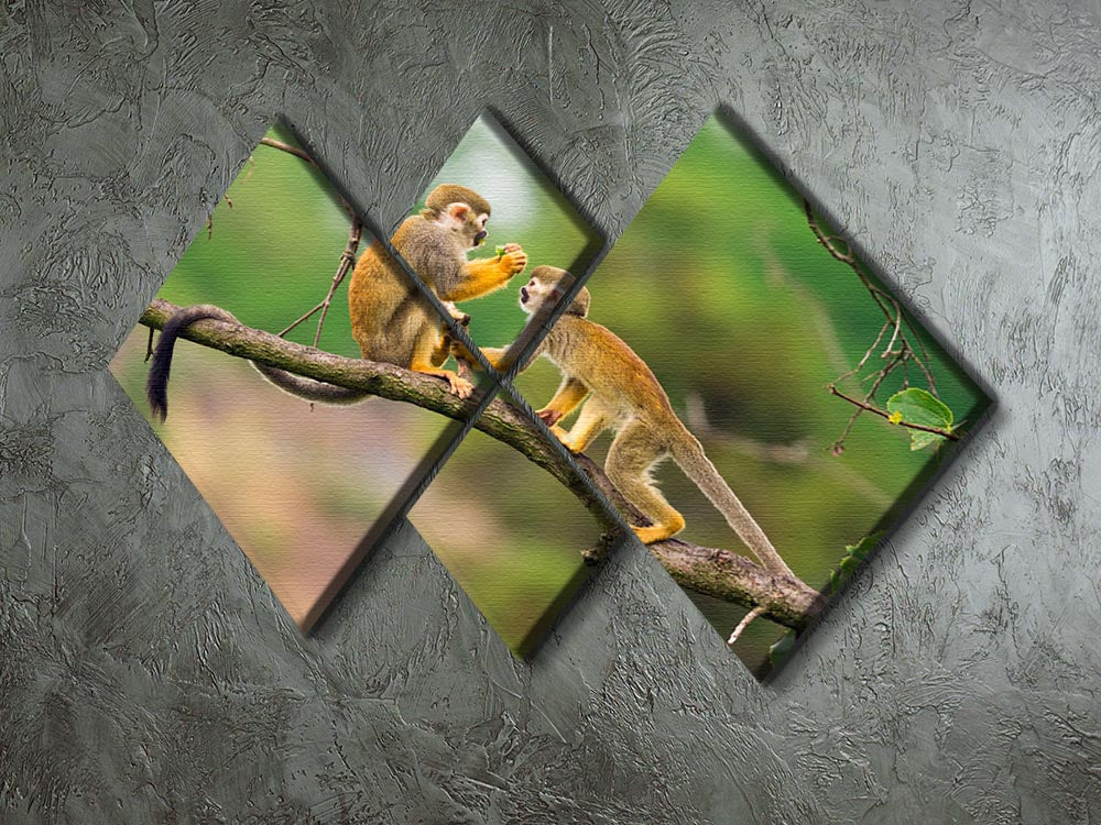 Two common squirrel monkeys 4 Square Multi Panel Canvas - Canvas Art Rocks - 2