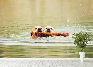 Two golden retrievers dogs are swimming with stick Wall Mural Wallpaper - Canvas Art Rocks - 4