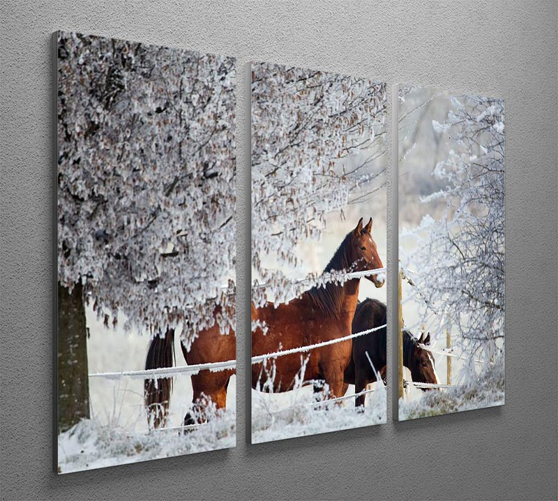 Two horses in a winter landscape 3 Split Panel Canvas Print - Canvas Art Rocks - 2