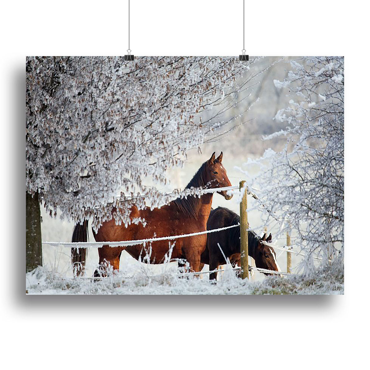 Two horses in a winter landscape Canvas Print or Poster - Canvas Art Rocks - 2