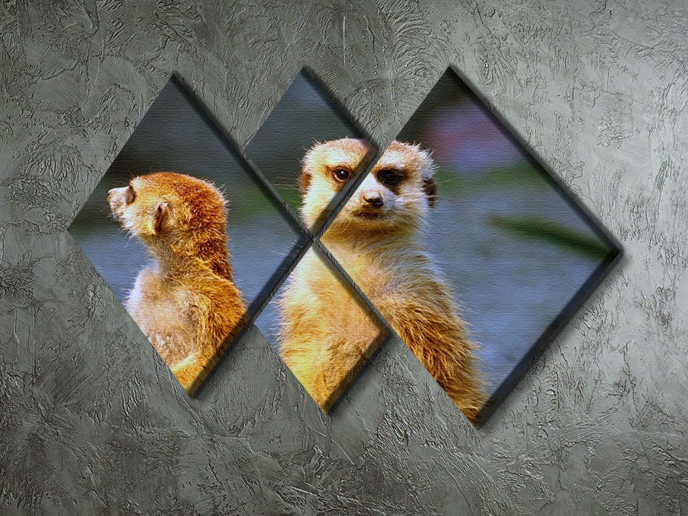 Two meerkats watching over their family in zoo 4 Square Multi Panel Canvas - Canvas Art Rocks - 2