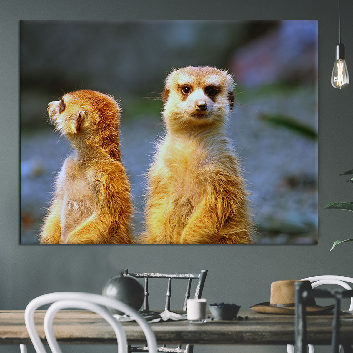 Two meerkats watching over their family in zoo Canvas Print or Poster - Canvas Art Rocks - 3