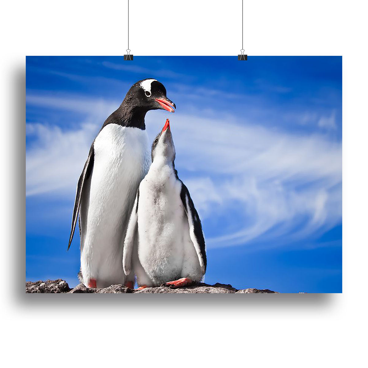 Two penguins resting Canvas Print or Poster - Canvas Art Rocks - 2