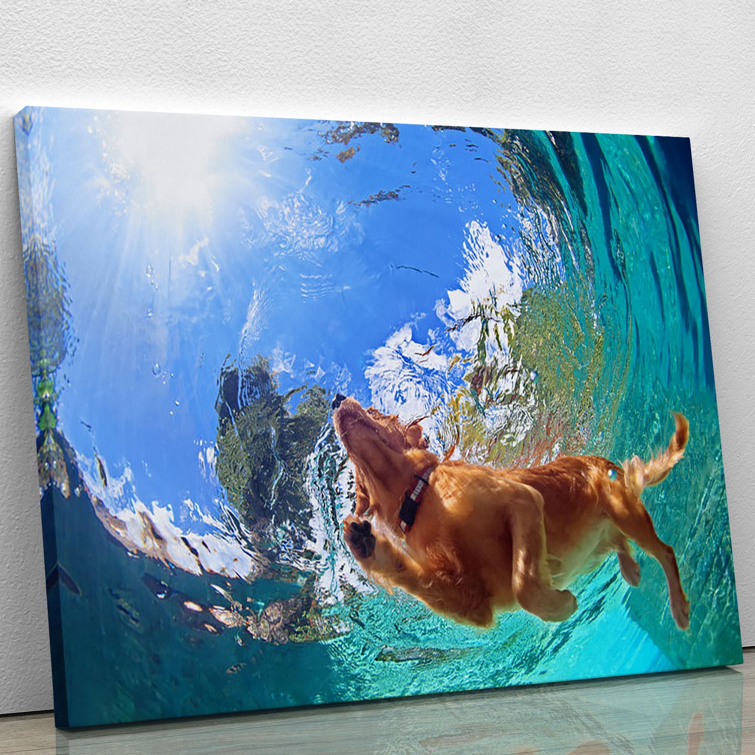 Underwater photo of golden labrador retriever puppy Canvas Print or Poster - Canvas Art Rocks - 1