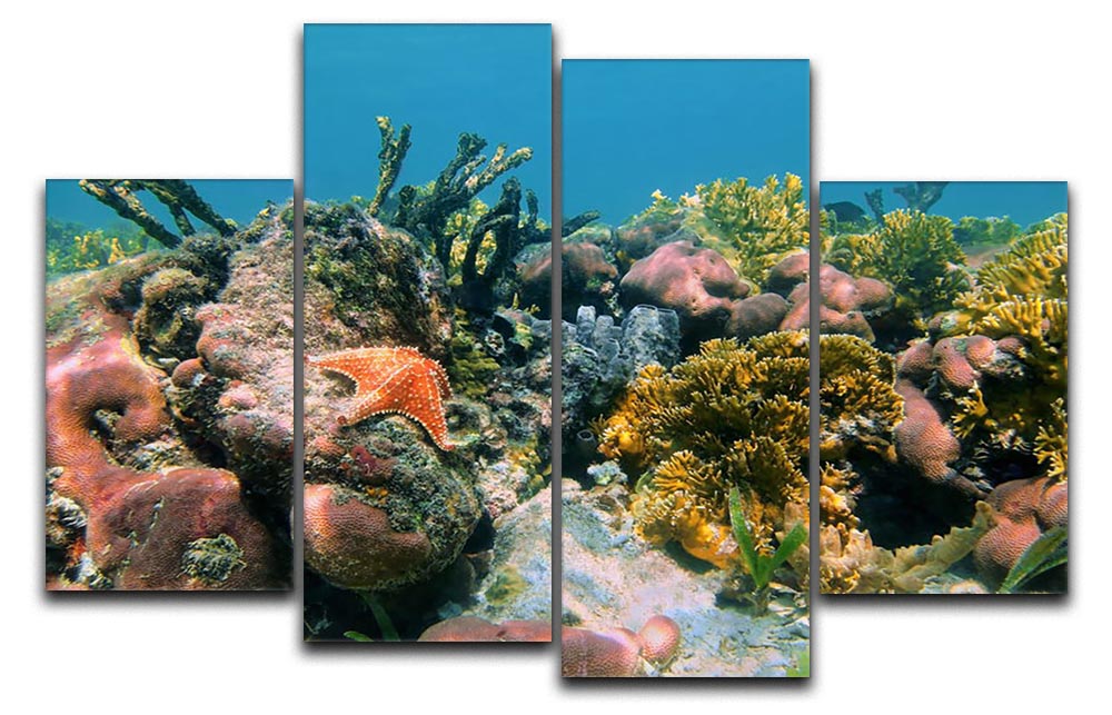 Underwater reef in the Caribbean sea with corals sponges and a starfish 4 Split Panel Canvas - Canvas Art Rocks - 1
