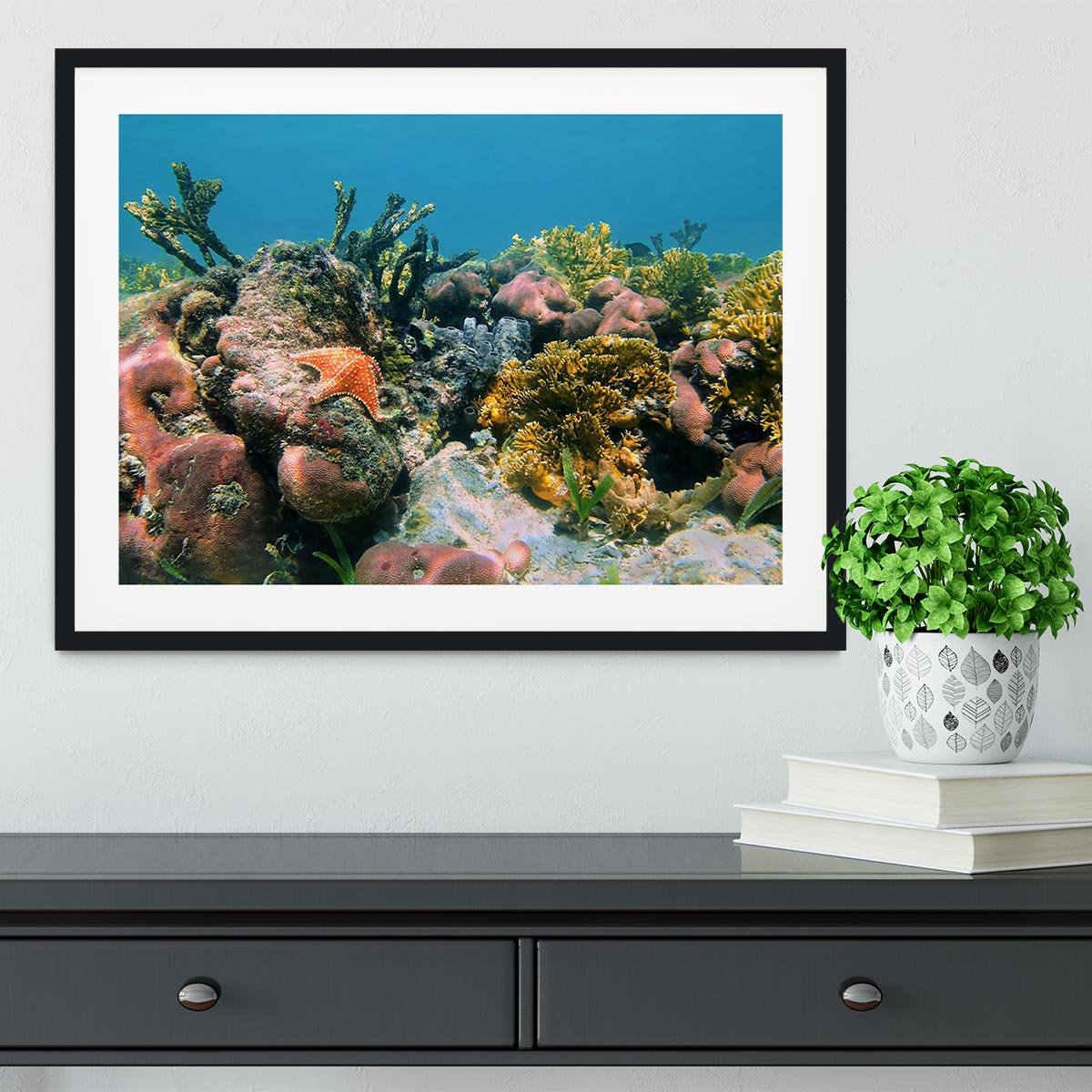 Underwater reef in the Caribbean sea with corals sponges and a starfish Framed Print - Canvas Art Rocks - 1