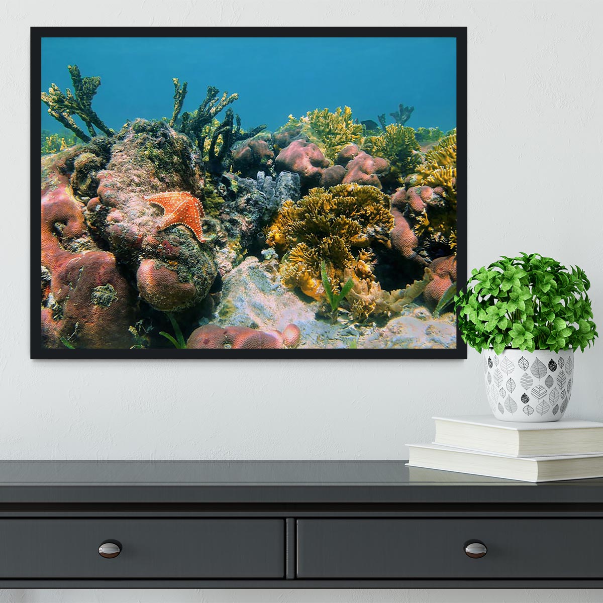 Underwater reef in the Caribbean sea with corals sponges and a starfish Framed Print - Canvas Art Rocks - 2