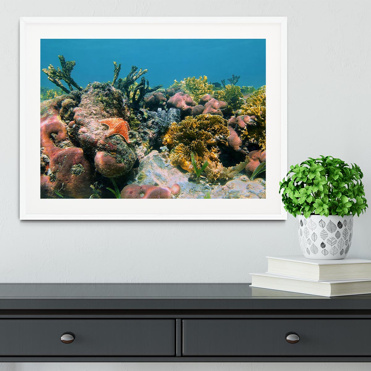 Underwater reef in the Caribbean sea with corals sponges and a starfish Framed Print - Canvas Art Rocks - 5