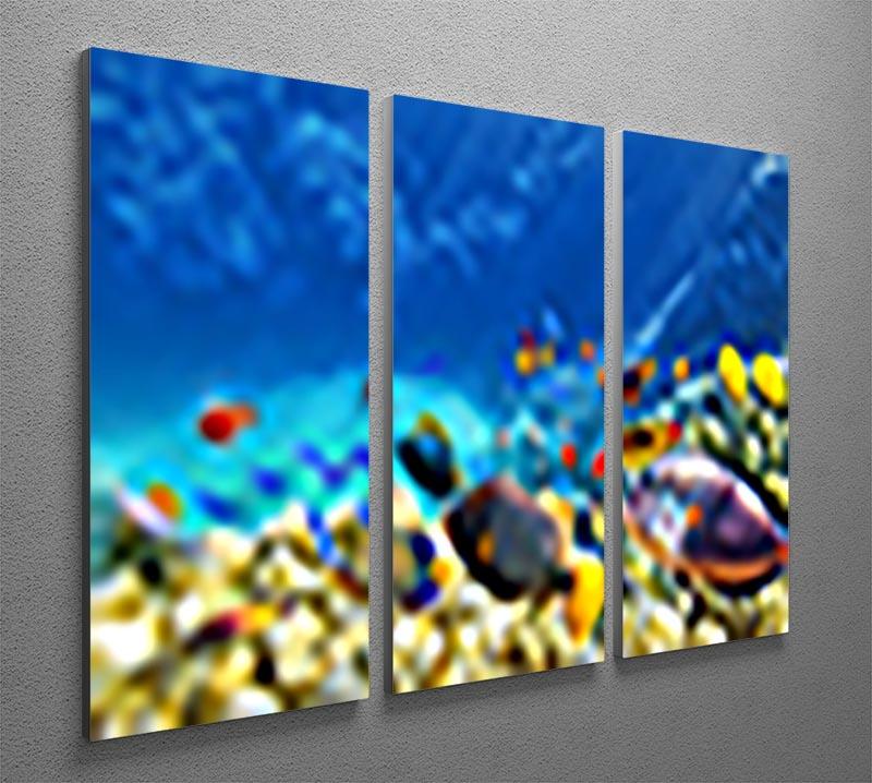 Underwater world 3 Split Panel Canvas Print - Canvas Art Rocks - 2
