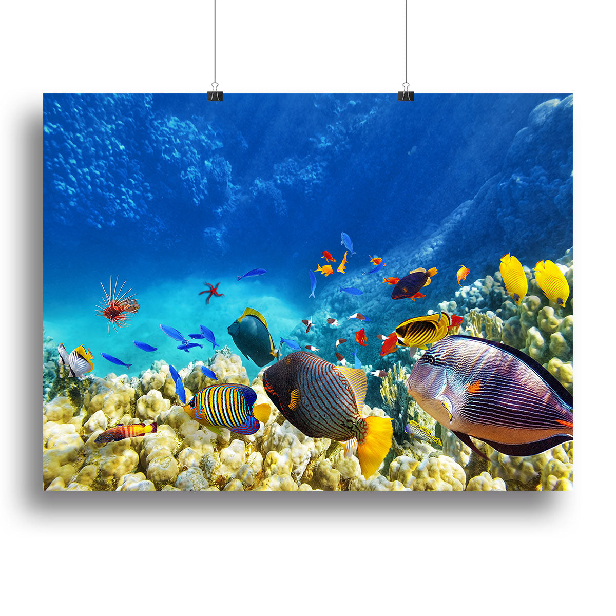 Underwater world Canvas Print or Poster - Canvas Art Rocks - 2