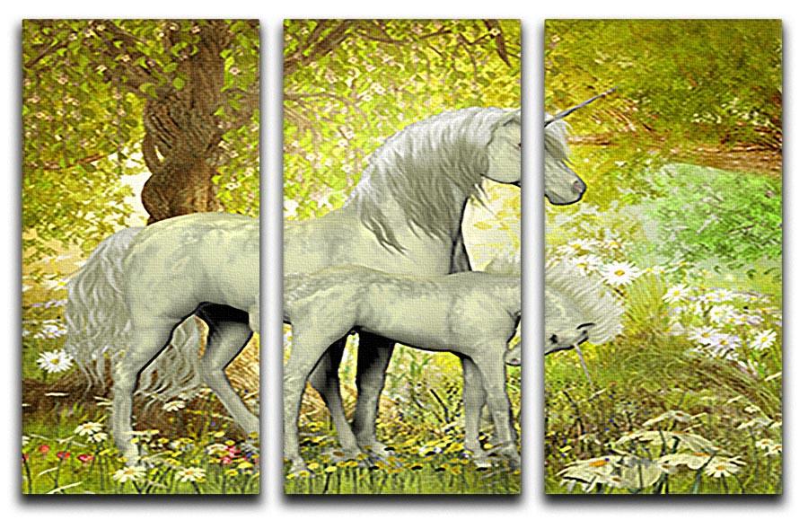 Unicorns and White Daisies 3 Split Panel Canvas Print - Canvas Art Rocks - 1