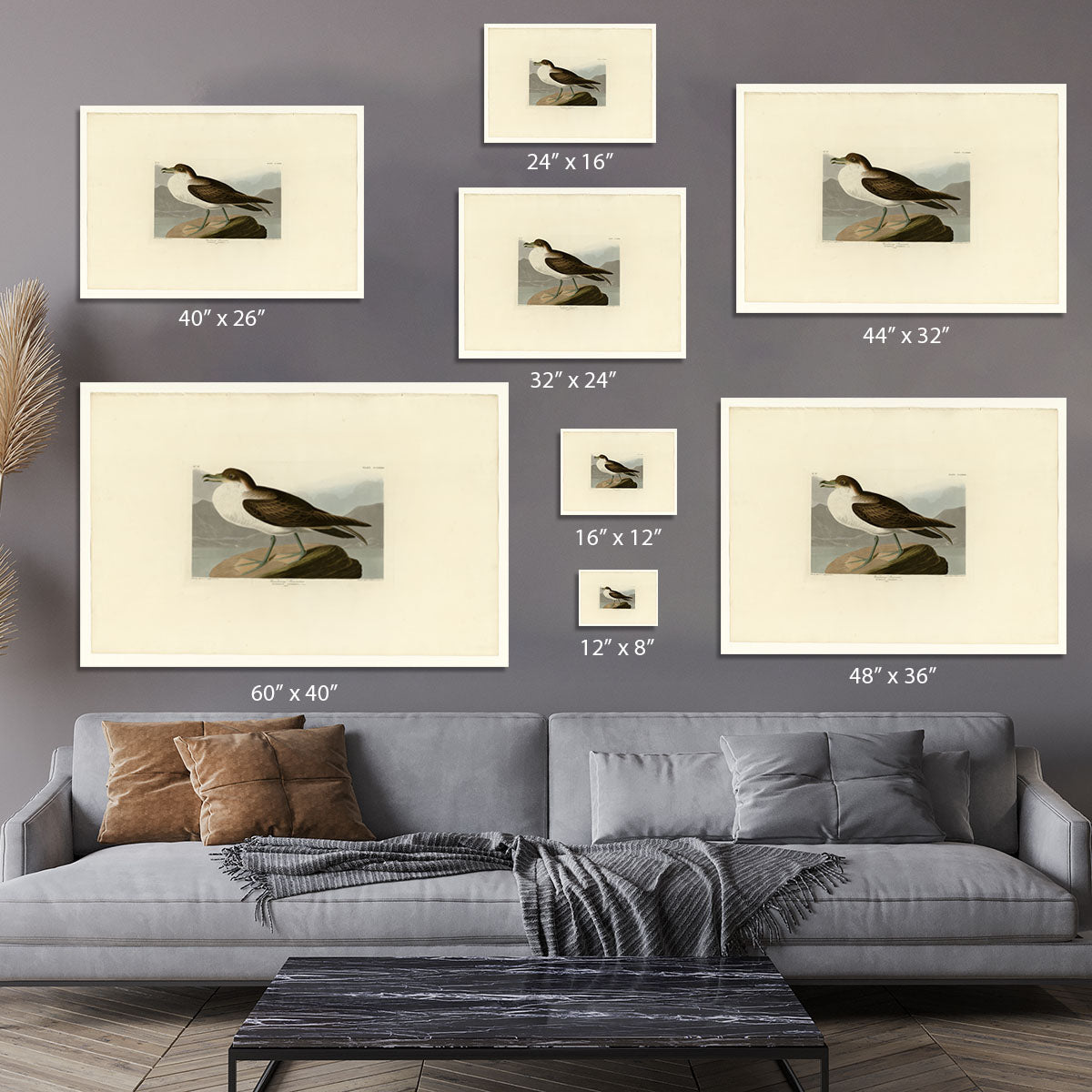 Wandering Shearwater by Audubon Canvas Print or Poster - Canvas Art Rocks - 7