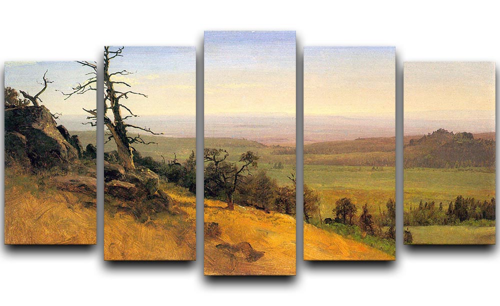 Wasatch Mountains Nebraska by Bierstadt 5 Split Panel Canvas - Canvas Art Rocks - 1