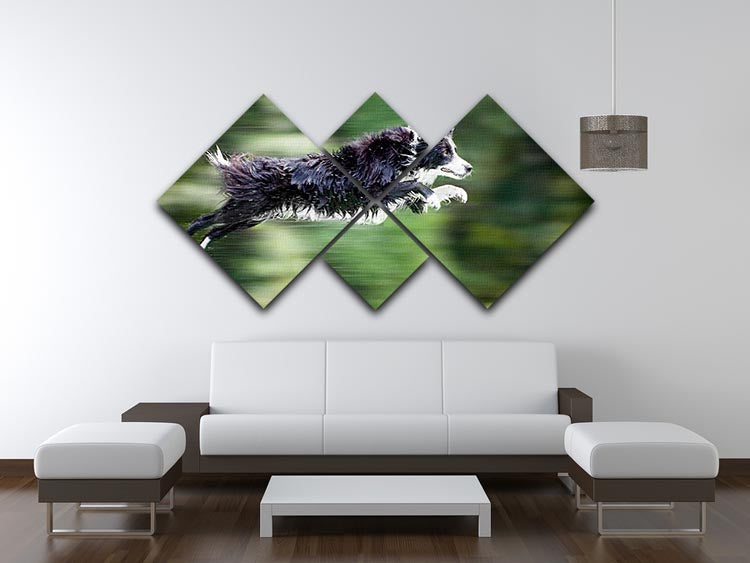 Wet border collie dog in midair 4 Square Multi Panel Canvas - Canvas Art Rocks - 3