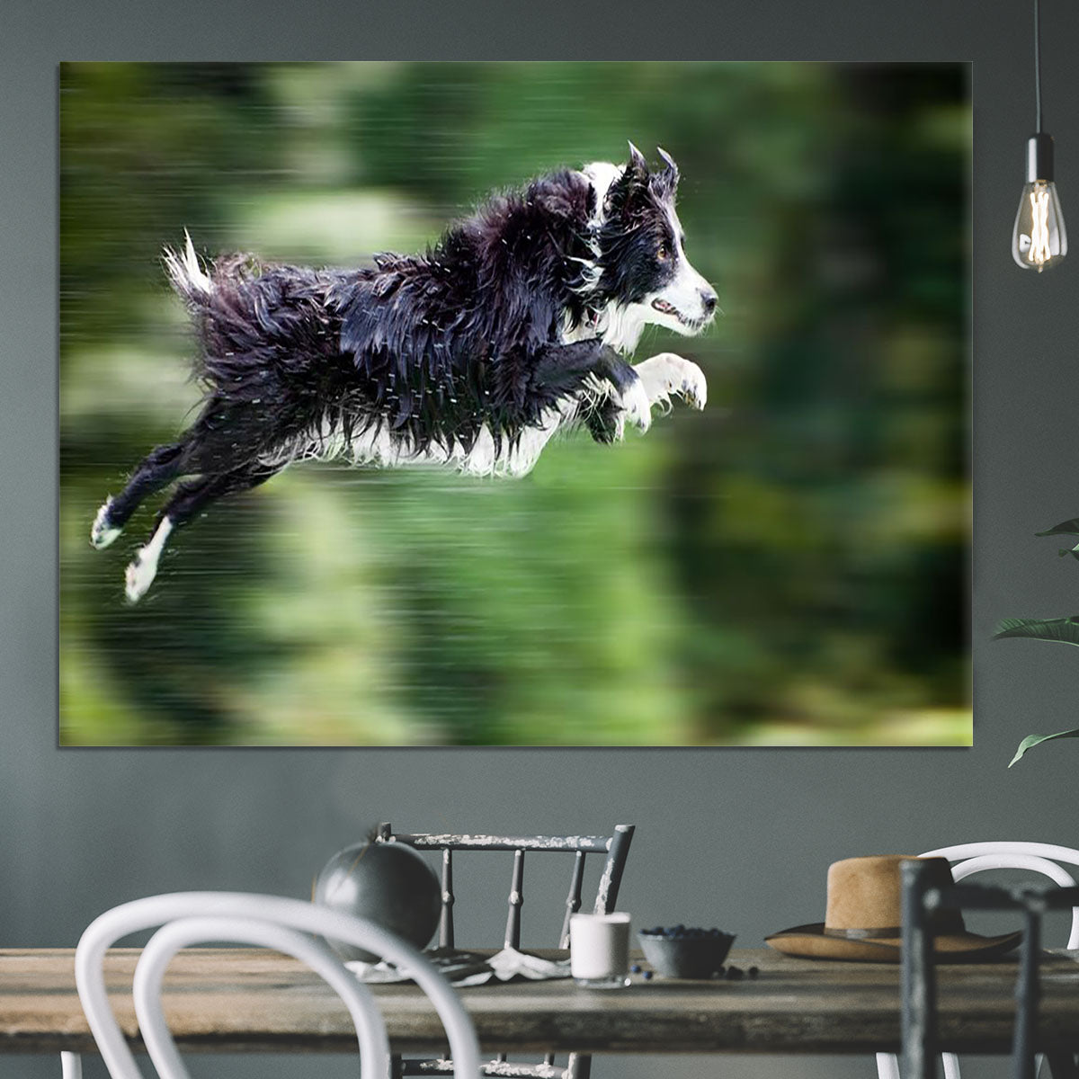 Wet border collie dog in midair Canvas Print or Poster - Canvas Art Rocks - 3