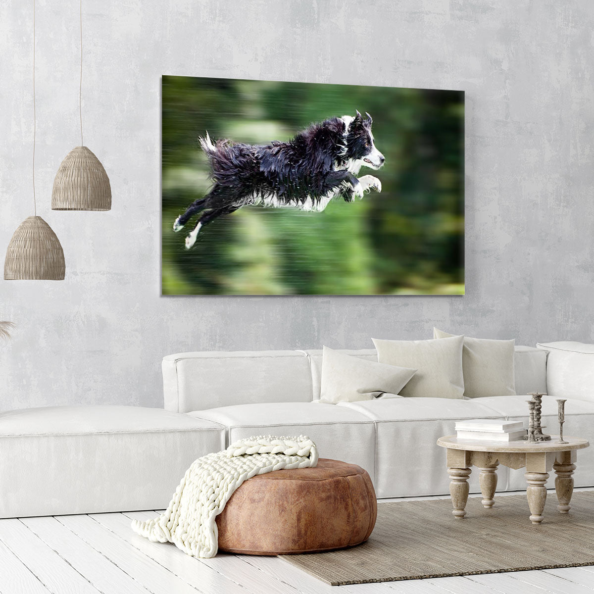 Wet border collie dog in midair Canvas Print or Poster - Canvas Art Rocks - 6