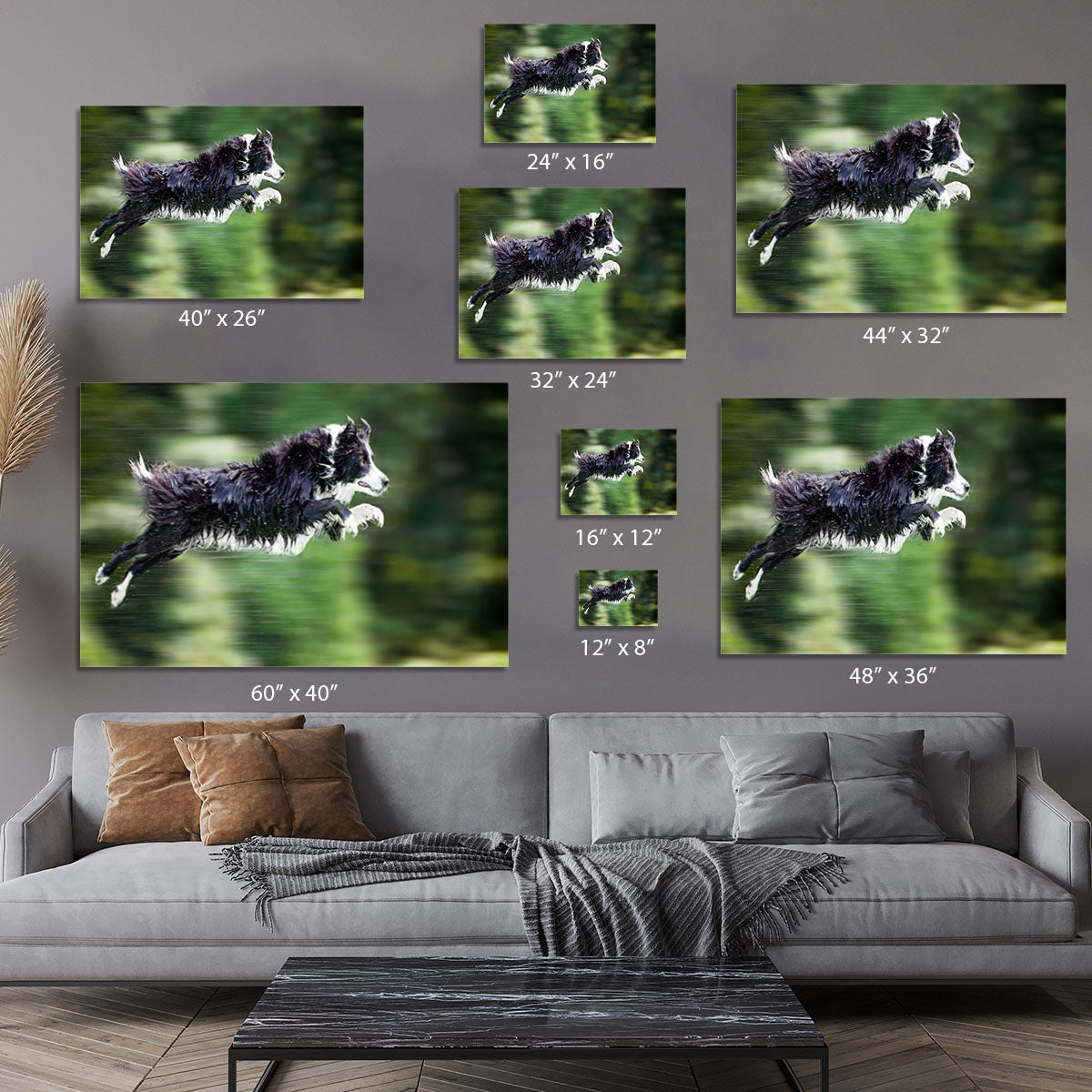 Wet border collie dog in midair Canvas Print or Poster - Canvas Art Rocks - 7