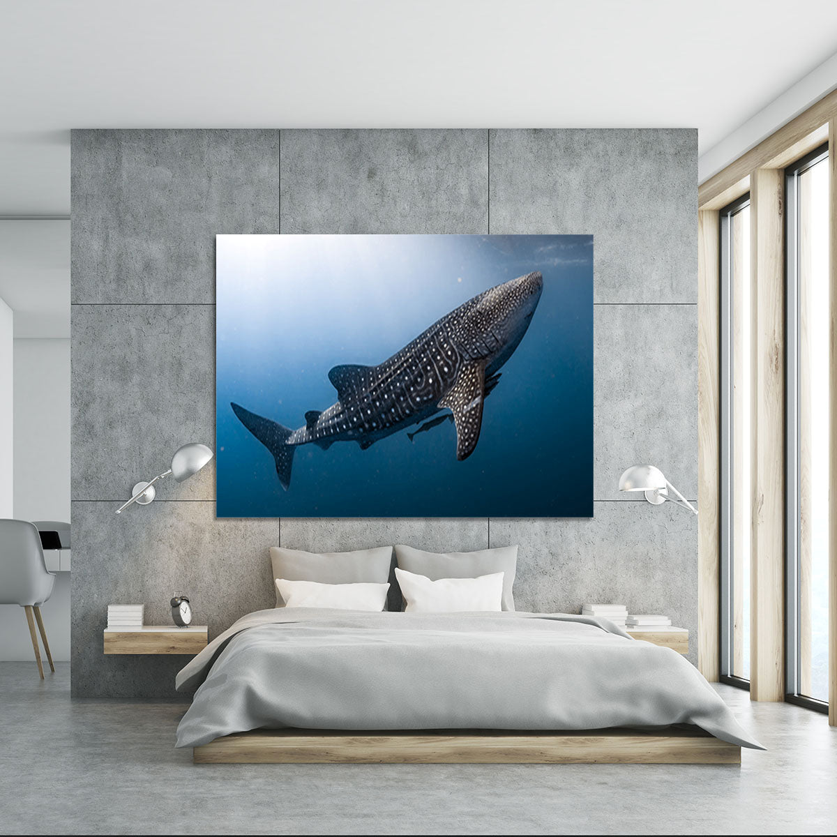 Whale Shark very near Canvas Print or Poster - Canvas Art Rocks - 5