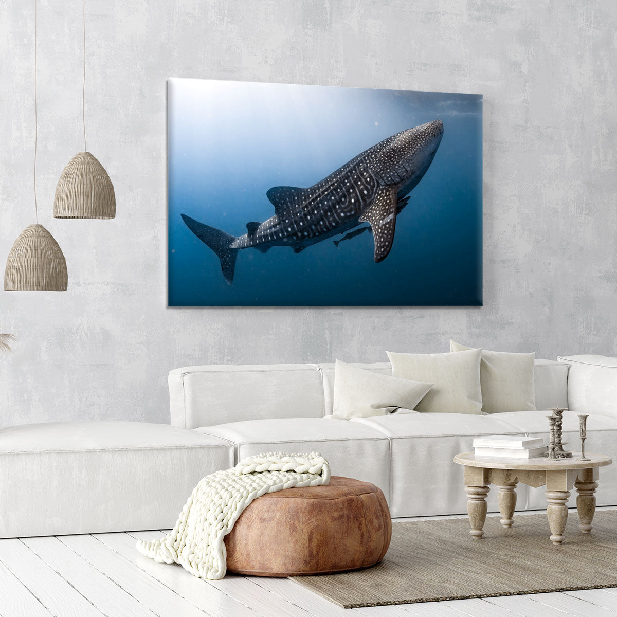 Whale Shark very near Canvas Print or Poster - Canvas Art Rocks - 6