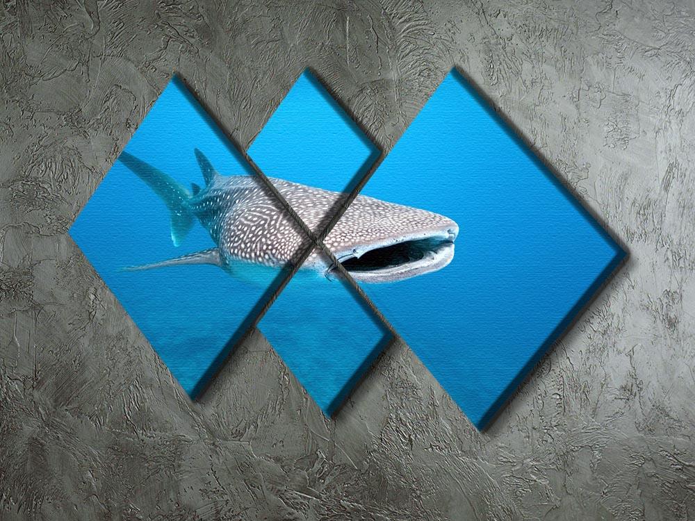 Whale shark 4 Square Multi Panel Canvas  - Canvas Art Rocks - 2
