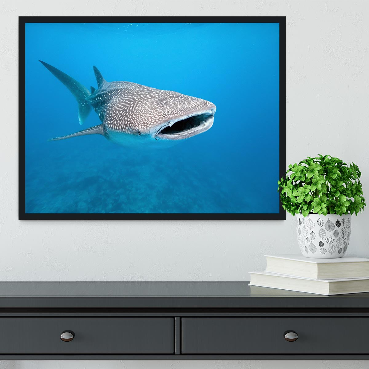 Whale shark Framed Print - Canvas Art Rocks - 2